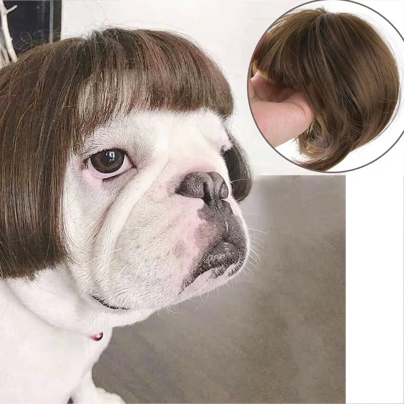 Pet Wigs Cosplay Props Dog Cat Cross-Dressing Hair Set Photography Funny Props Head Accessories Prank Pet Supplies Costumes DIY Pi-Mart