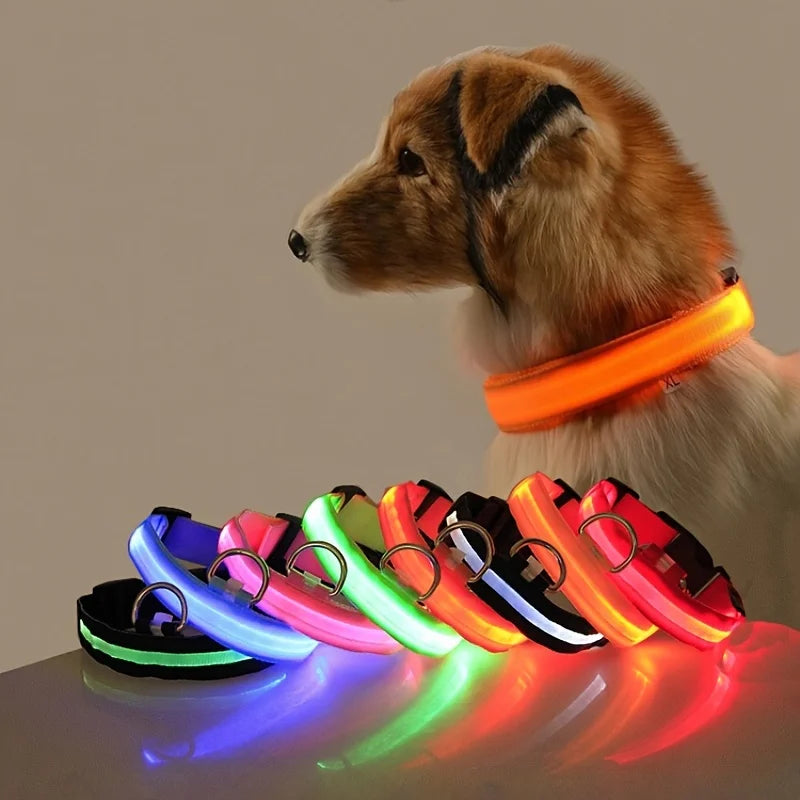Nylon LED Night Safety Flashing Glow In The Dark Dog Leash Dogs Luminous Fluorescent Pet Dog Collar Pi-Mart