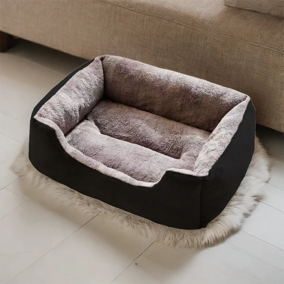 Bed for Cats Pet Products Cushions Kitten Goods Accessories Dog All Houses Supplies Things Accessory Habitats Basket House Beds Pi-Mart