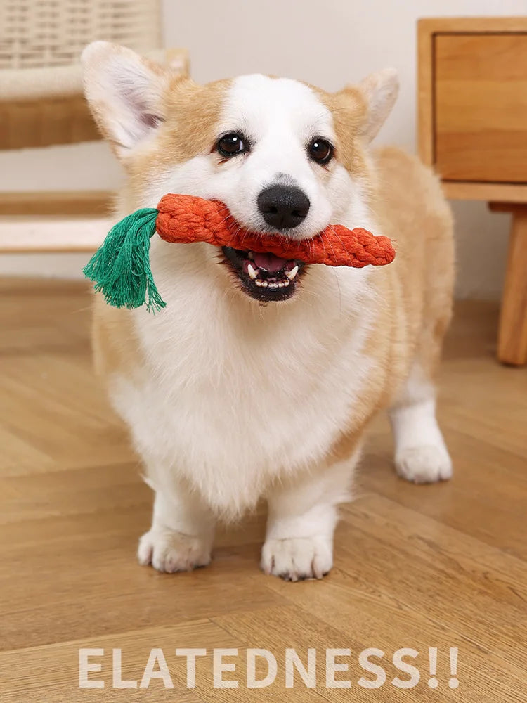 Chew Toys For Small Dogs Puppy Cleaning Teeth Bite Resistant Carrot Cotton Rope Pet Playing Toy Accessories Pet Supplies Pi-Mart