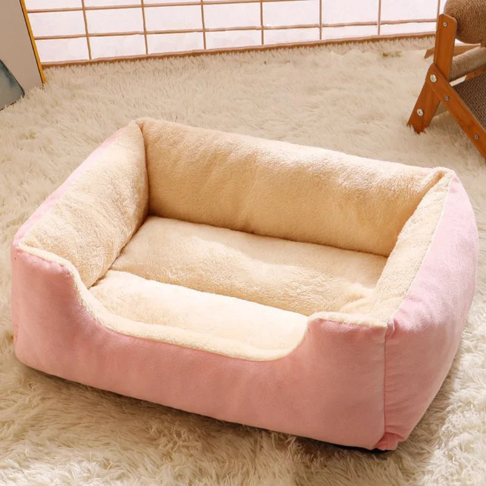 Bed for Cats Pet Products Cushions Kitten Goods Accessories Dog All Houses Supplies Things Accessory Habitats Basket House Beds Pi-Mart