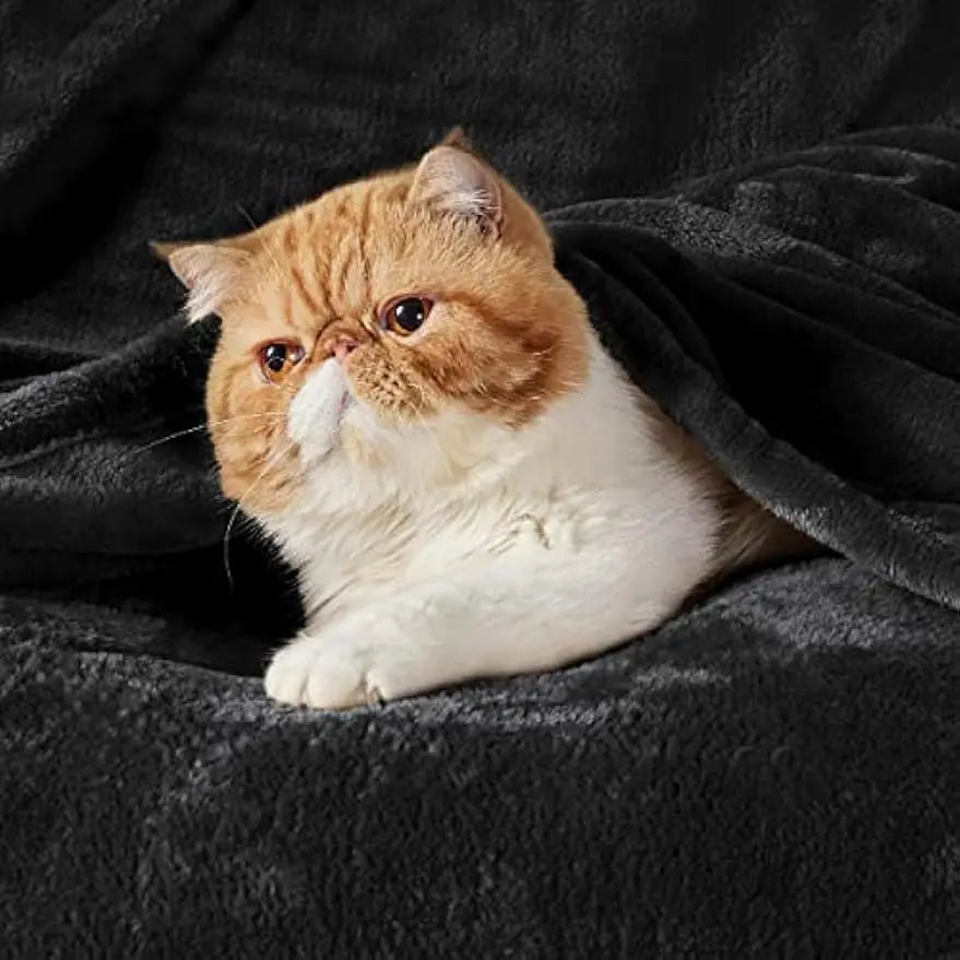 Fleece Blanket Queen Blanket Black - Bed Blanket Soft Lightweight Plush Fuzzy Cozy Luxury Microfiber Pi-Mart