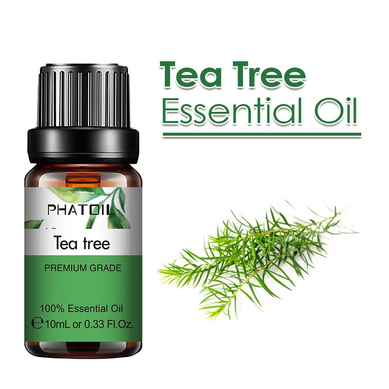 PHATOIL 10ml Ginger Essential Oil for Perfume Candles Making Spa Massage Humidifier Rose Jasmine Pine Needles Tangerine Thyme Pi-Mart