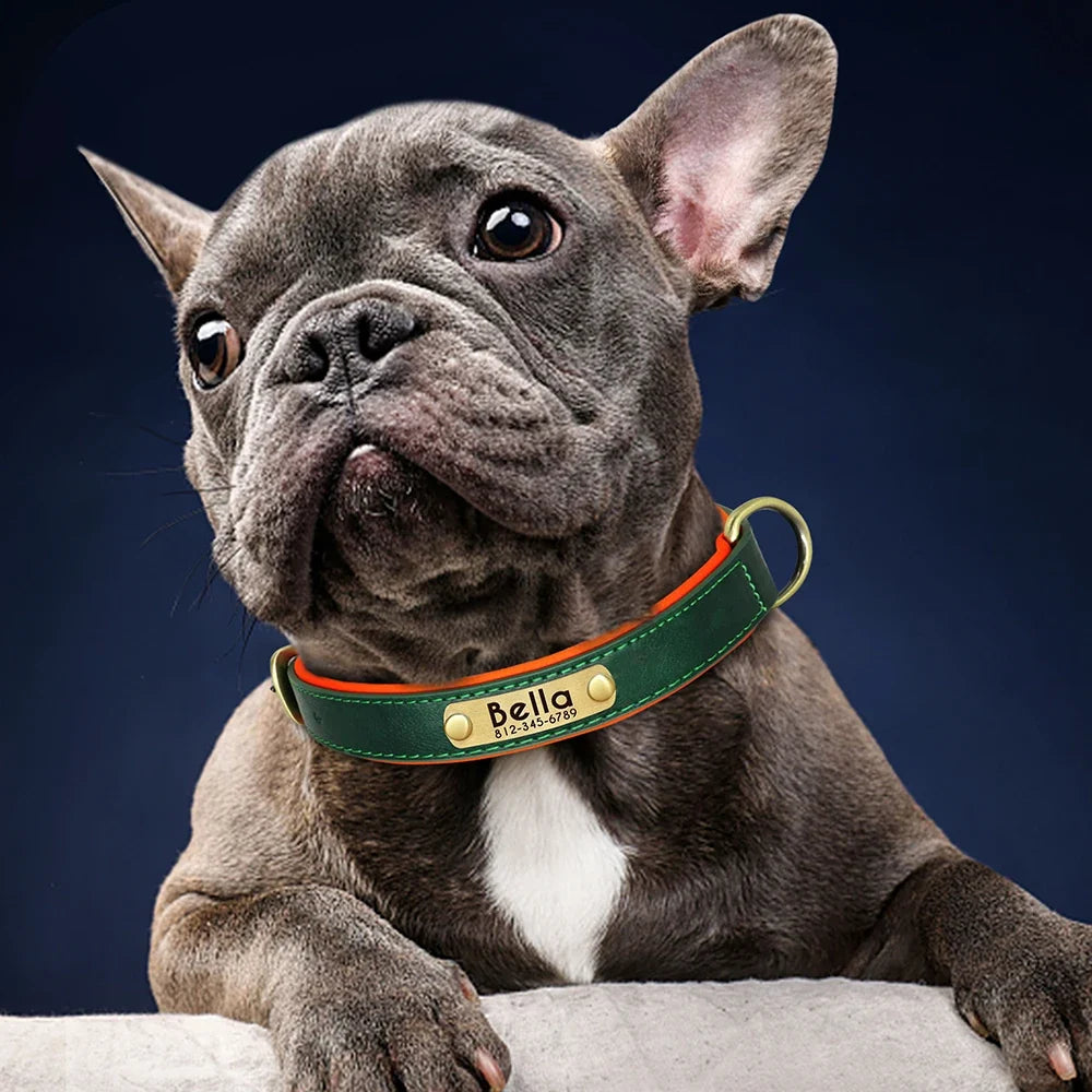 Customized PU Leather Nameplate Dog Collar Soft Padded Dogs Collars Free Engraving Name for Small Medium Large Dogs Adjustable LadyShow.Store