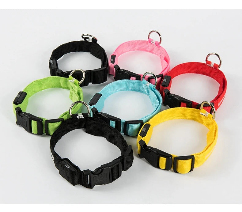 Nylon LED Night Safety Flashing Glow In The Dark Dog Leash Dogs Luminous Fluorescent Pet Dog Collar Pi-Mart