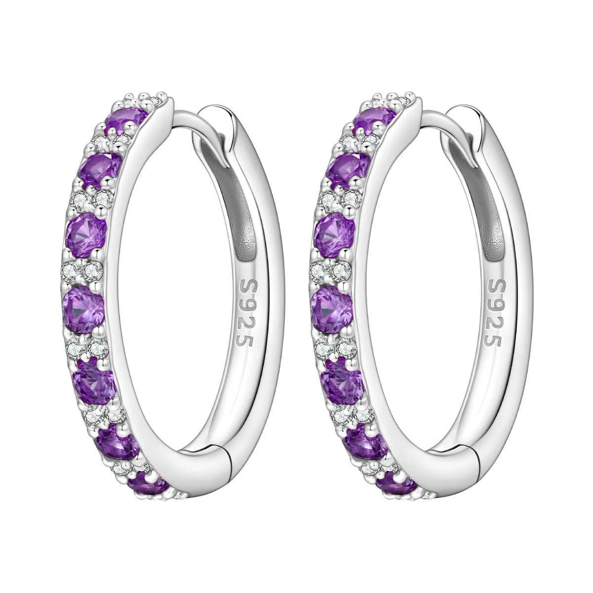 PANPOKI S925 Sterling Silver Purple Zircon Series Earrings Hoop Earrings For Women Jewelry Original Party Trendy Gifts Pi-Mart