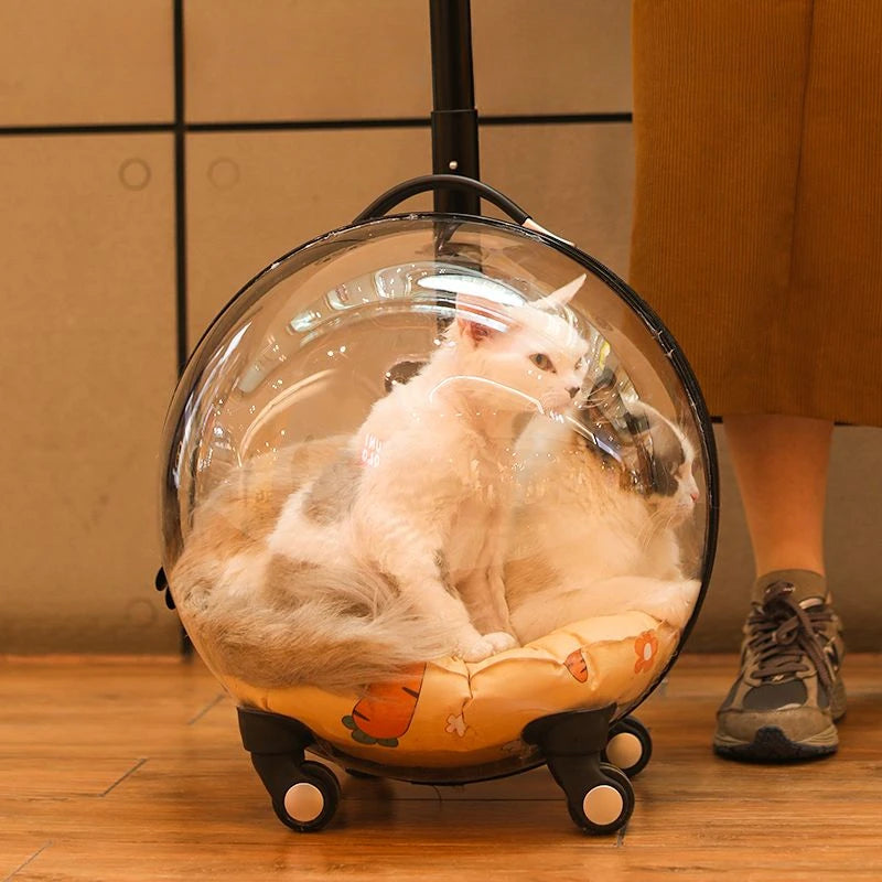 Portable Cat Bag for Going Out Large Capacity Transparent Breathable Pet Trolley Case Cat Travel Bag Pet Supplies Cat nest Pi-Mart