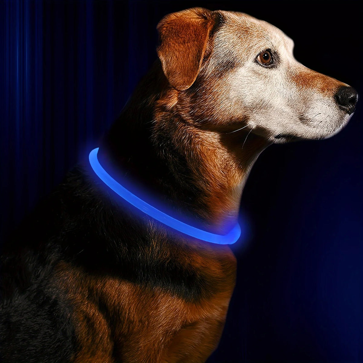 Pet Dog LED Light Collar Luminous Anti-Lost Dog Collar USB Rechargeable Dog Necklace Collar Pi-Mart