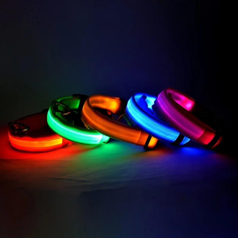 Nylon LED Night Safety Flashing Glow In The Dark Dog Leash Dogs Luminous Fluorescent Pet Dog Collar Pi-Mart