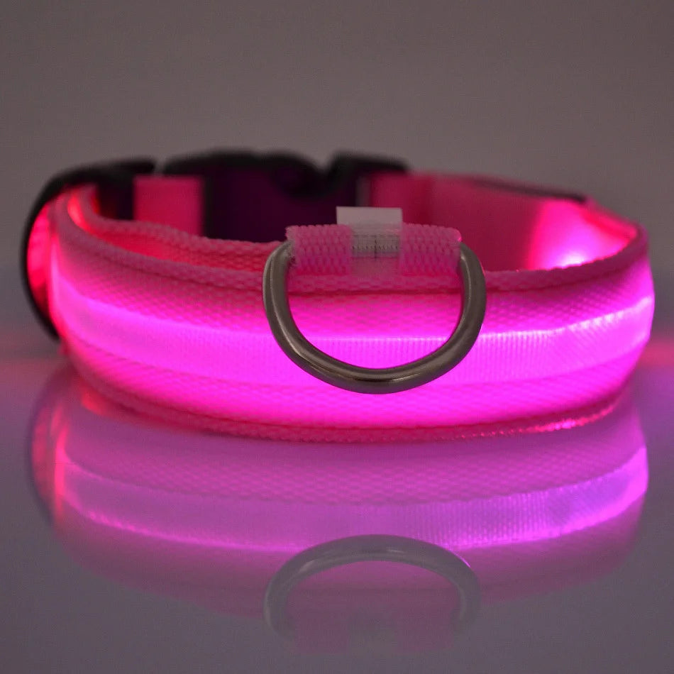 Nylon LED Night Safety Flashing Glow In The Dark Dog Leash Dogs Luminous Fluorescent Pet Dog Collar Pi-Mart