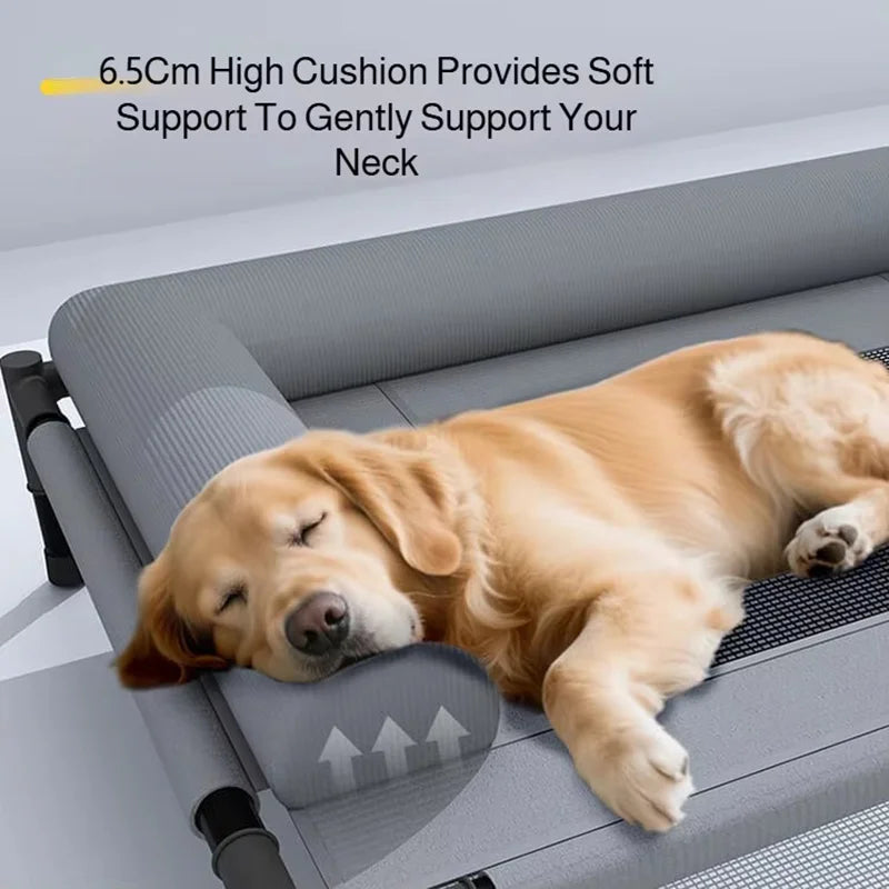 Elevated Cooling Mesh Dog Cot Breathable Moisture Resistant Bed With Pillow Four Seasons Use Indoor For Dog Cat Pet Supplies Pi-Mart
