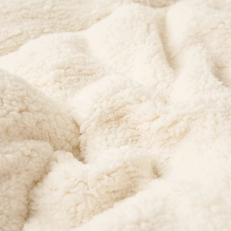Spring Imitation Lambswool Multi-functional Blanket Queen Blankets for Bed Soft Plush Comfortable Milk Fleece Blanket for Throw Pi-Mart