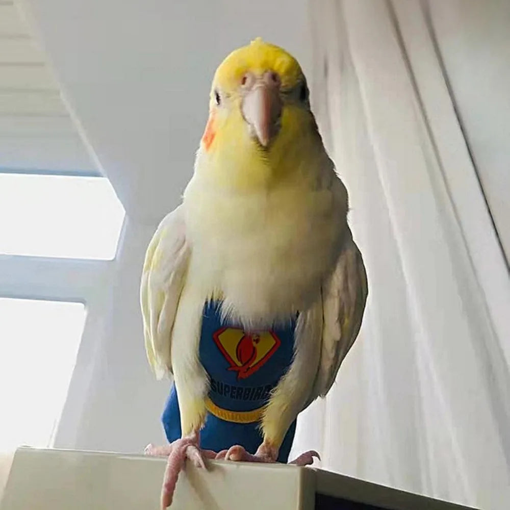 Soft For Parakeet Cockatiel Pigeons Adjustable Leakproof Cloth Parrot Diaper Birds Clothes Birds Flight Suit Parrot Urine Pants Pi-Mart