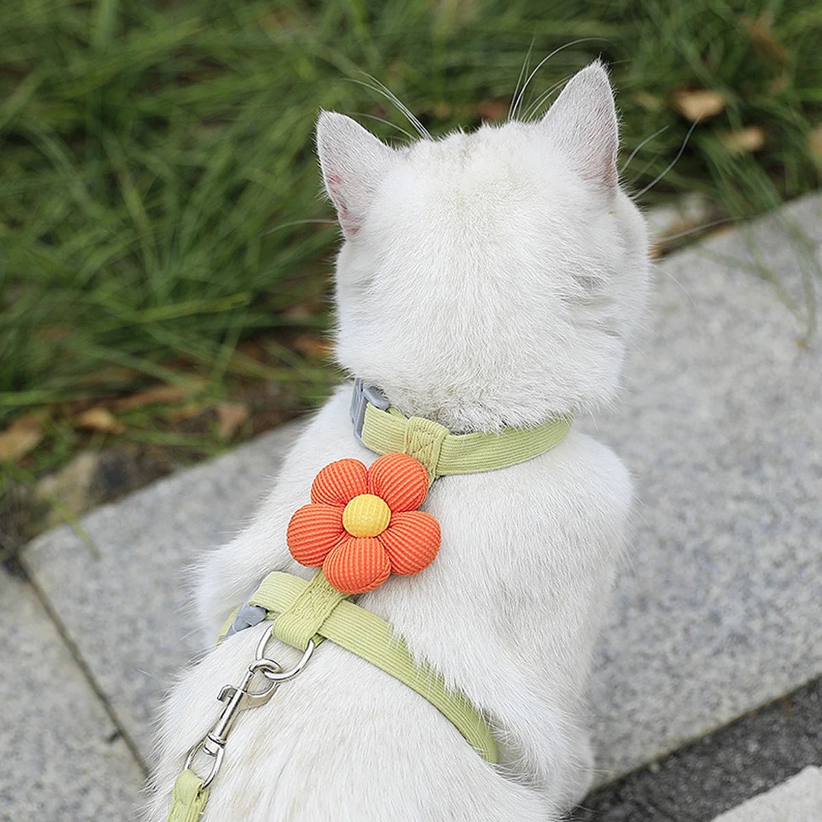 Cat Harness and Leash Sets Adjustable Dog Harness for Small Dog Leash Breashable Pet Harness Out Walking Dog Strap Cat Accessory Pi-Mart