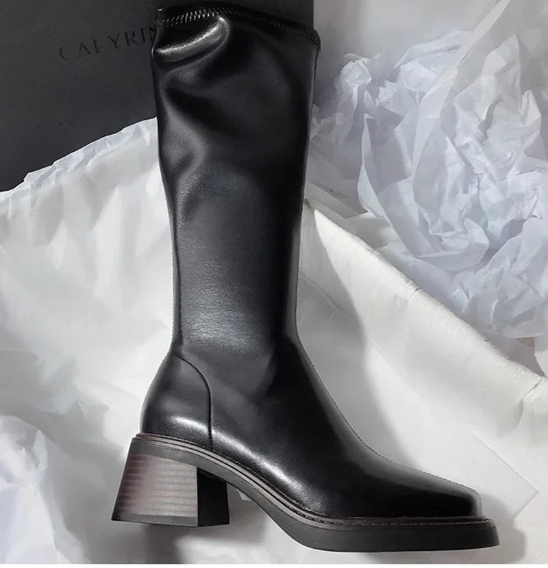 Vintage Thick Heel Women Knee High Boots Fashion Side Zippers Shoes Autumn Winter Ladies Concise Long Botas De Mujer Pi-Mart