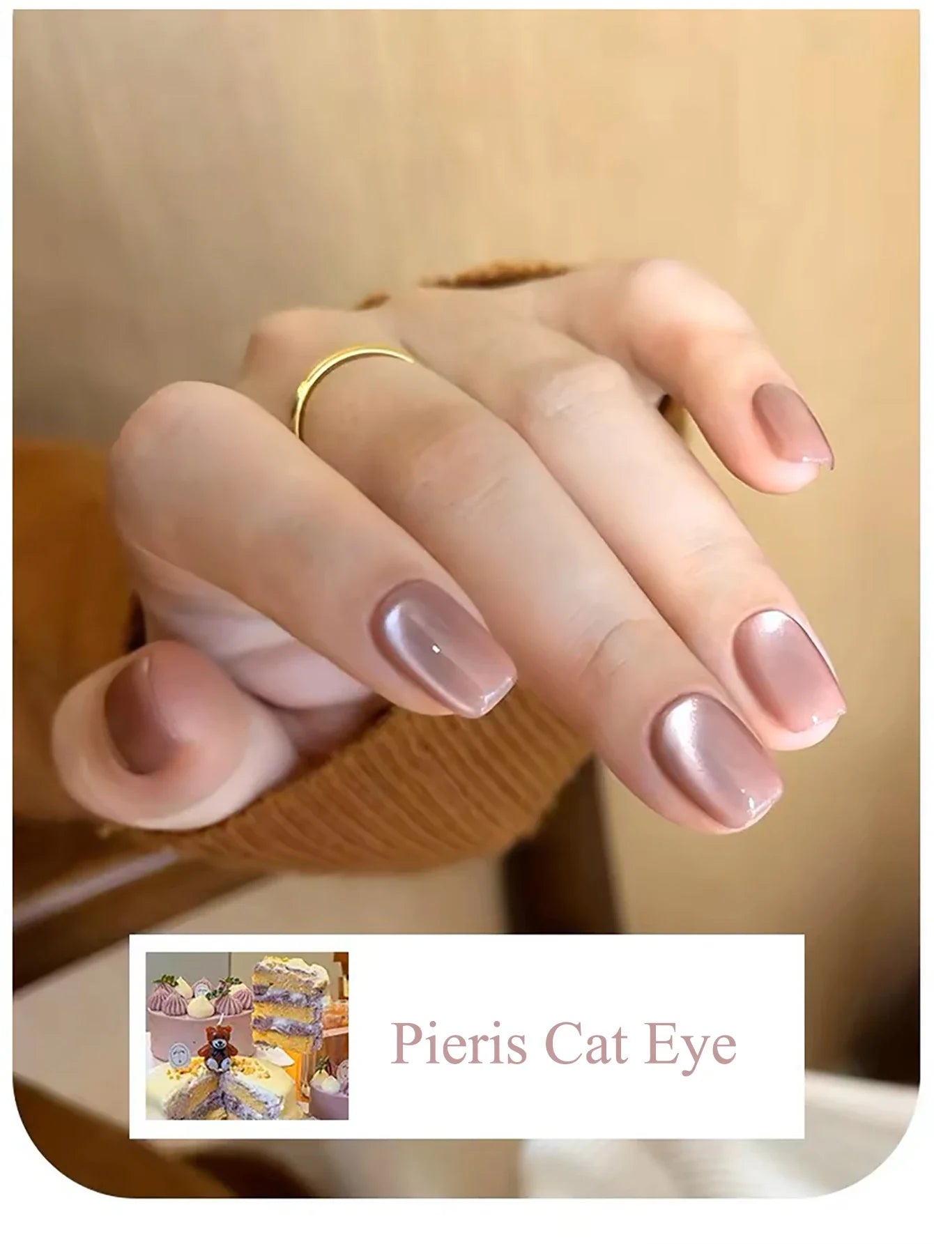 WS Black Glass Cat Magnetic Gel Nail Polish Punk Style Nail Art Manicure Varnis Semi Permanent Gel for Winter Nail Supplies Tri Light Beauty