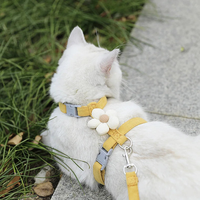 Cat Harness and Leash Sets Adjustable Dog Harness for Small Dog Leash Breashable Pet Harness Out Walking Dog Strap Cat Accessory Pi-Mart