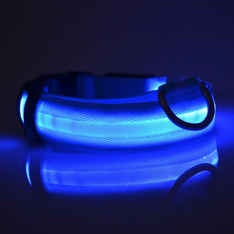 Nylon LED Night Safety Flashing Glow In The Dark Dog Leash Dogs Luminous Fluorescent Pet Dog Collar Pi-Mart