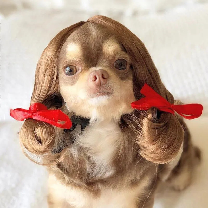 Pet Wigs Cosplay Props Dog Cat Cross-Dressing Hair Set Photography Funny Props Head Accessories Prank Pet Supplies Costumes DIY Pi-Mart