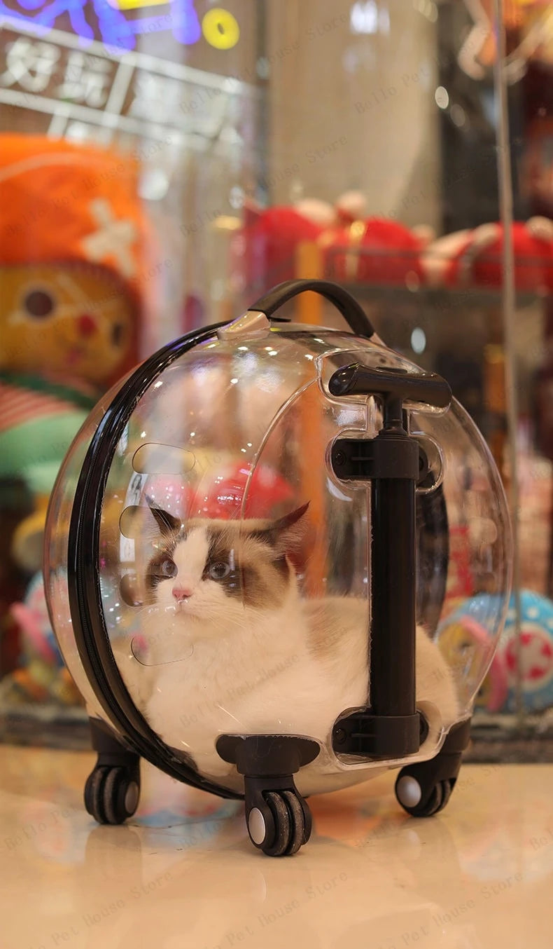Portable Cat Bag for Going Out Large Capacity Transparent Breathable Pet Trolley Case Cat Travel Bag Pet Supplies Cat nest Pi-Mart