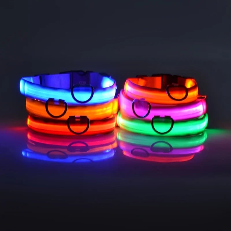 Nylon LED Night Safety Flashing Glow In The Dark Dog Leash Dogs Luminous Fluorescent Pet Dog Collar Pi-Mart