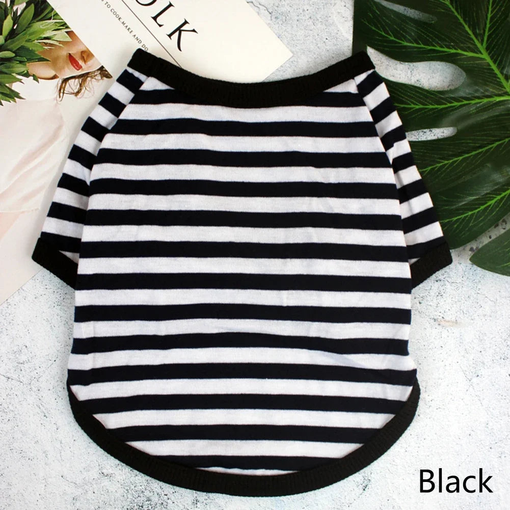 S9691ec01887241fd88f8ae25edc9dfb5m