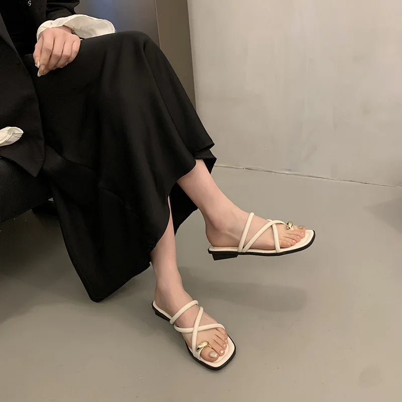 Women Summer Slippers Ladies Sandals Metal Decor Thong Flip Flop Low Heel Shoes Woman Outdoor Retro Brown Sandals Female LadyShow.Store