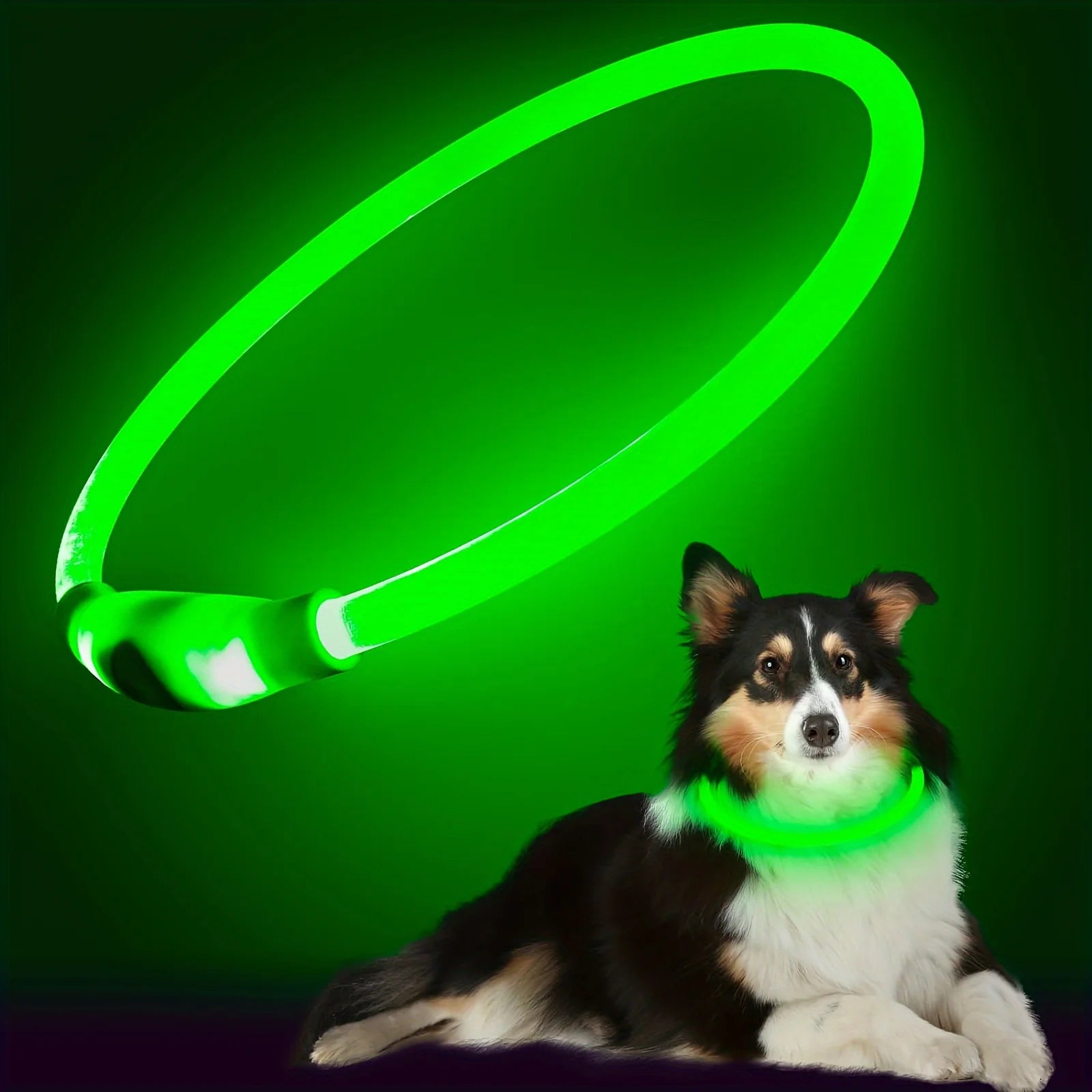 Pet Dog LED Light Collar Luminous Anti-Lost Dog Collar USB Rechargeable Dog Necklace Collar Pi-Mart
