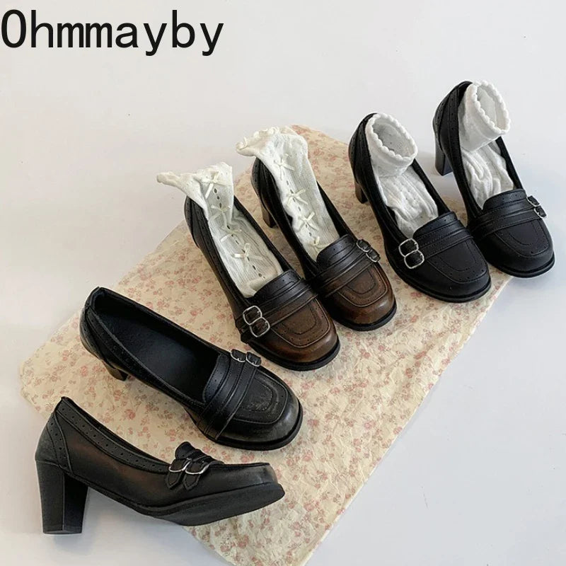 Vintage Thick Heel Women Mary Jane Shoes Ladies Concise Slip On Pumps Spring Autumn Women's Party Dress Shoes LadyShow.Store
