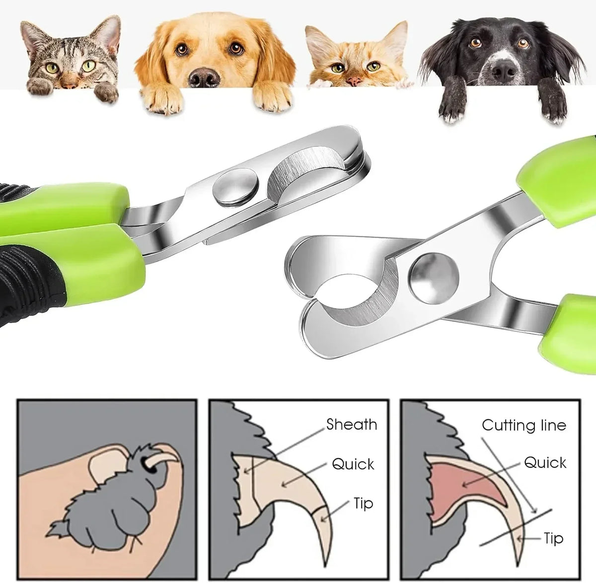 Hot Sale Cat Nail Toe Claw Clippers Trimmer Grooming Tools Animals Pet Supplies Stainless Steel Dog Nail Clipper Scissors Pi-Mart