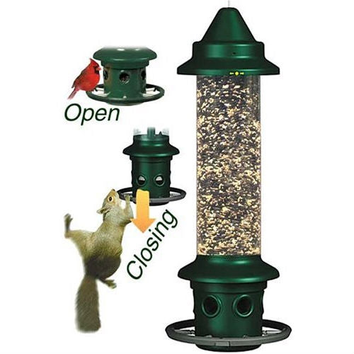 Squirrel-proof Bird Feeder with Perch Ring LuxuryLifeWay Online Store