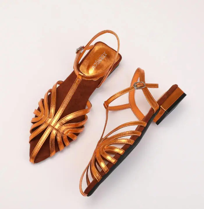 ZAROY Women Roman Sandals Summer Low Heel Ankle Strap Buckle Sandals Pointed Toe Hollowed Out T-strap Sandalias сандали LadyShow.Store