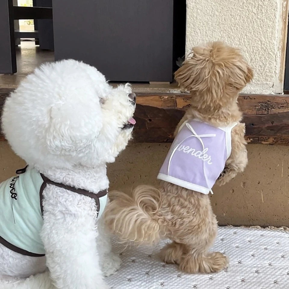 Summer Letter Printed Puppy Sling Breathable Teddy Vest Small Dog Bow T-shirt Casual Dog Clothes Pet Supplies Pi-Mart