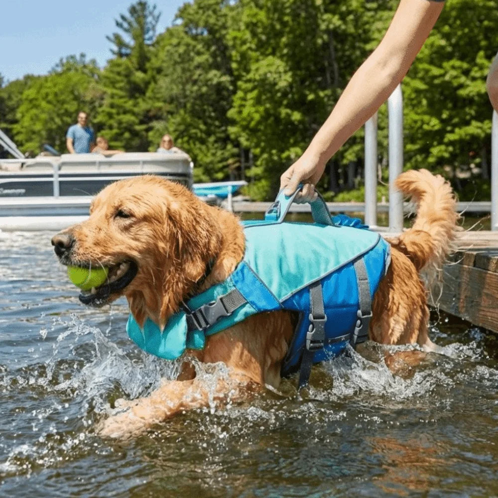 Pet Supplies Reflective Stripes Dog Life Jacket Adjustable Large Buoyancy Safety Vest Breathable Pet Life Vest Water Sports Pi-Mart