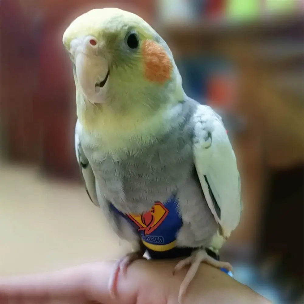 Soft For Parakeet Cockatiel Pigeons Adjustable Leakproof Cloth Parrot Diaper Birds Clothes Birds Flight Suit Parrot Urine Pants Pi-Mart