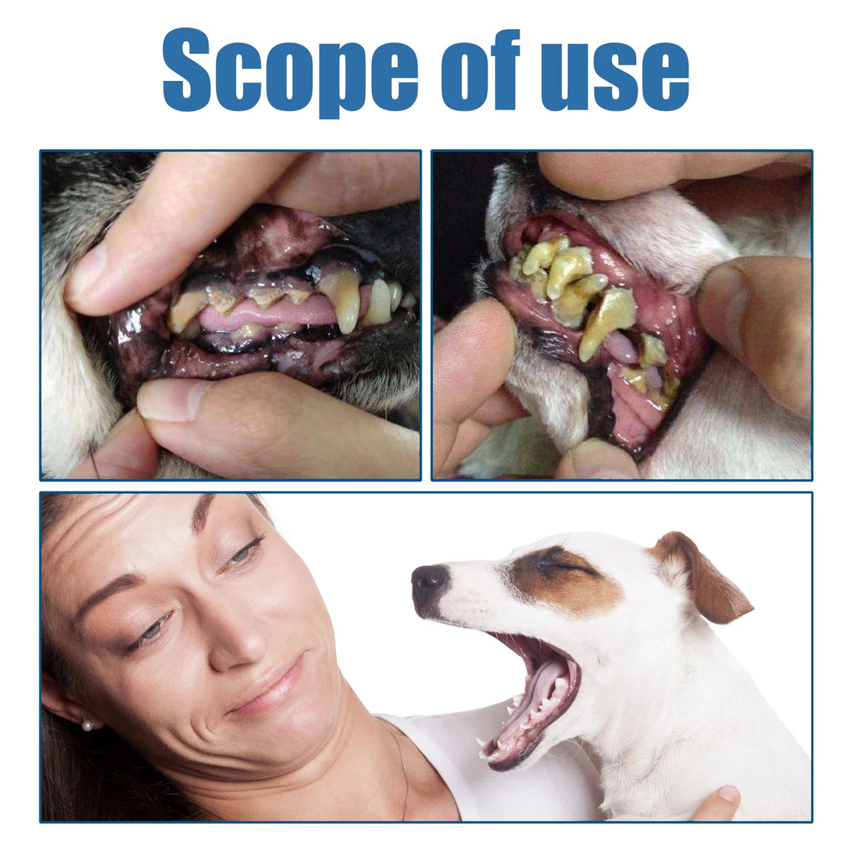 Pet Oral Tartar Remover Spray Deep Clenaing Yellow Teeth Eliminate Bad Breath Fresh Breath Whitening Teeth Pet Oral Foam Cleaner Pi-Mart