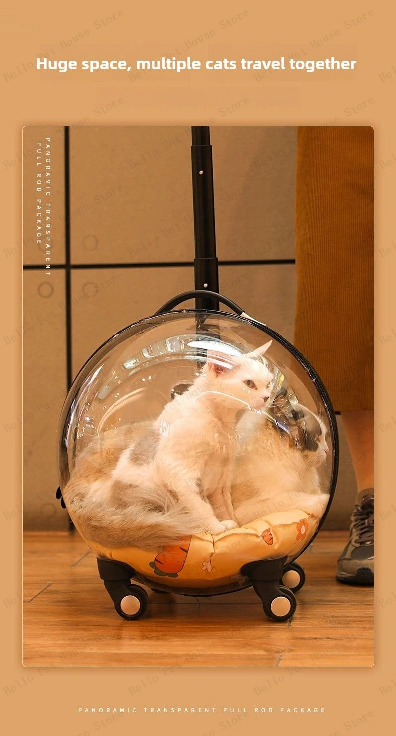 Portable Cat Bag for Going Out Large Capacity Transparent Breathable Pet Trolley Case Cat Travel Bag Pet Supplies Cat nest Pi-Mart