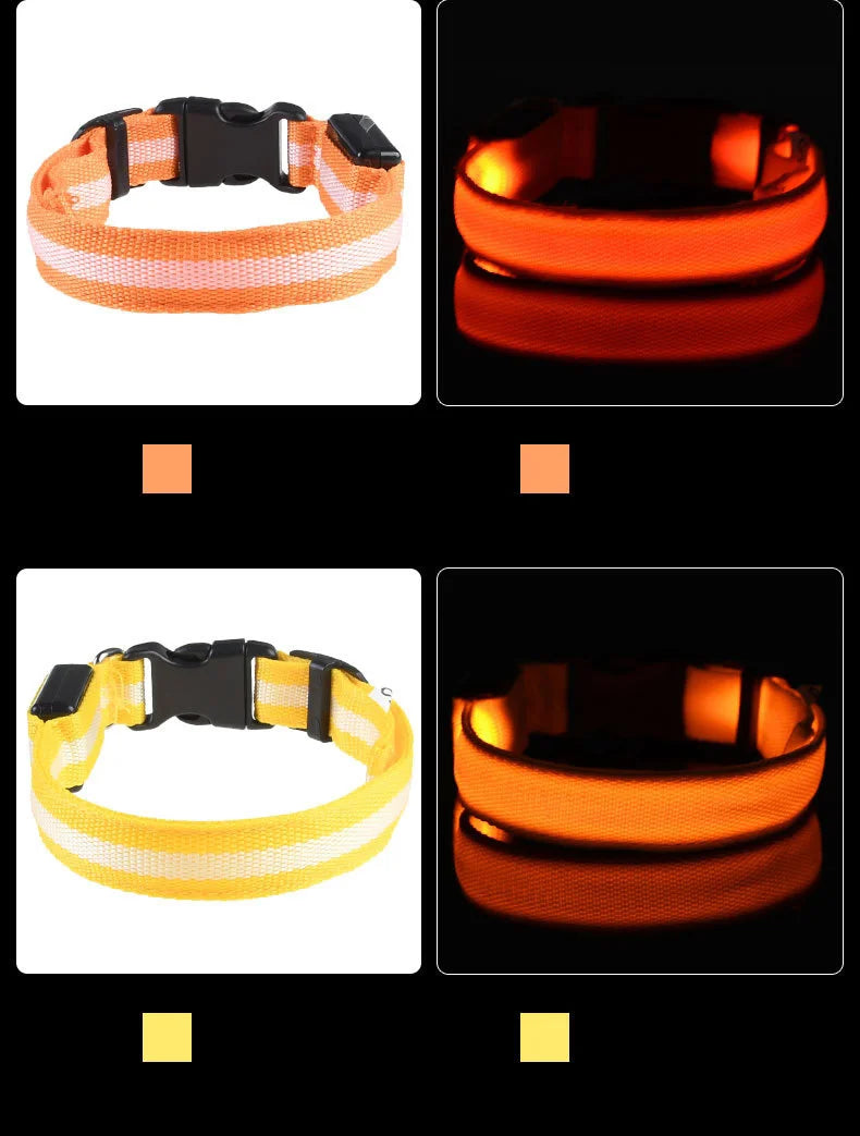 Nylon LED Night Safety Flashing Glow In The Dark Dog Leash Dogs Luminous Fluorescent Pet Dog Collar Pi-Mart