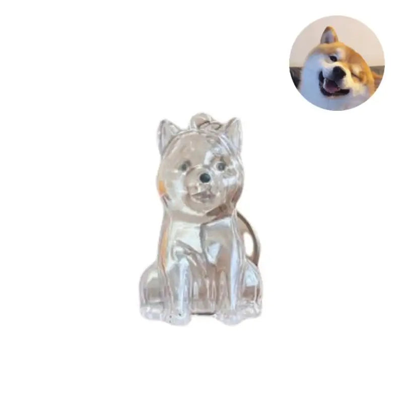 Diy Bag Charm Handmade Pet Hair Memorial Keychain Keepsake Pendant for Dog Fur - Personalized Pet Loss Gift for Dog Lovers Pi-Mart