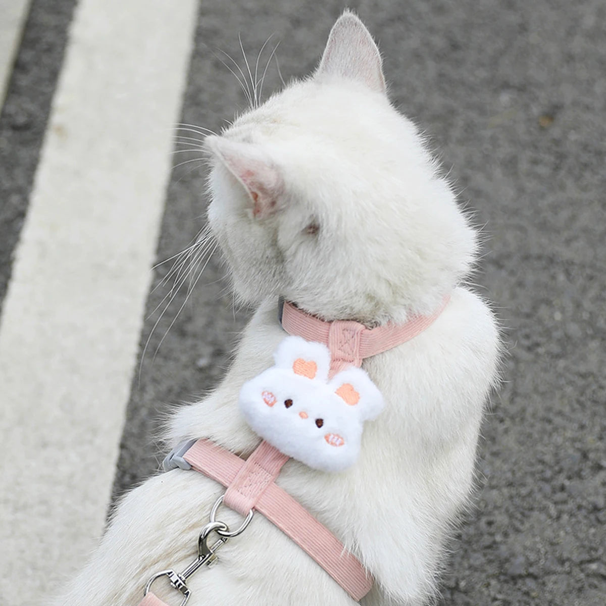 Cat Harness and Leash Sets Adjustable Dog Harness for Small Dog Leash Breashable Pet Harness Out Walking Dog Strap Cat Accessory Pi-Mart