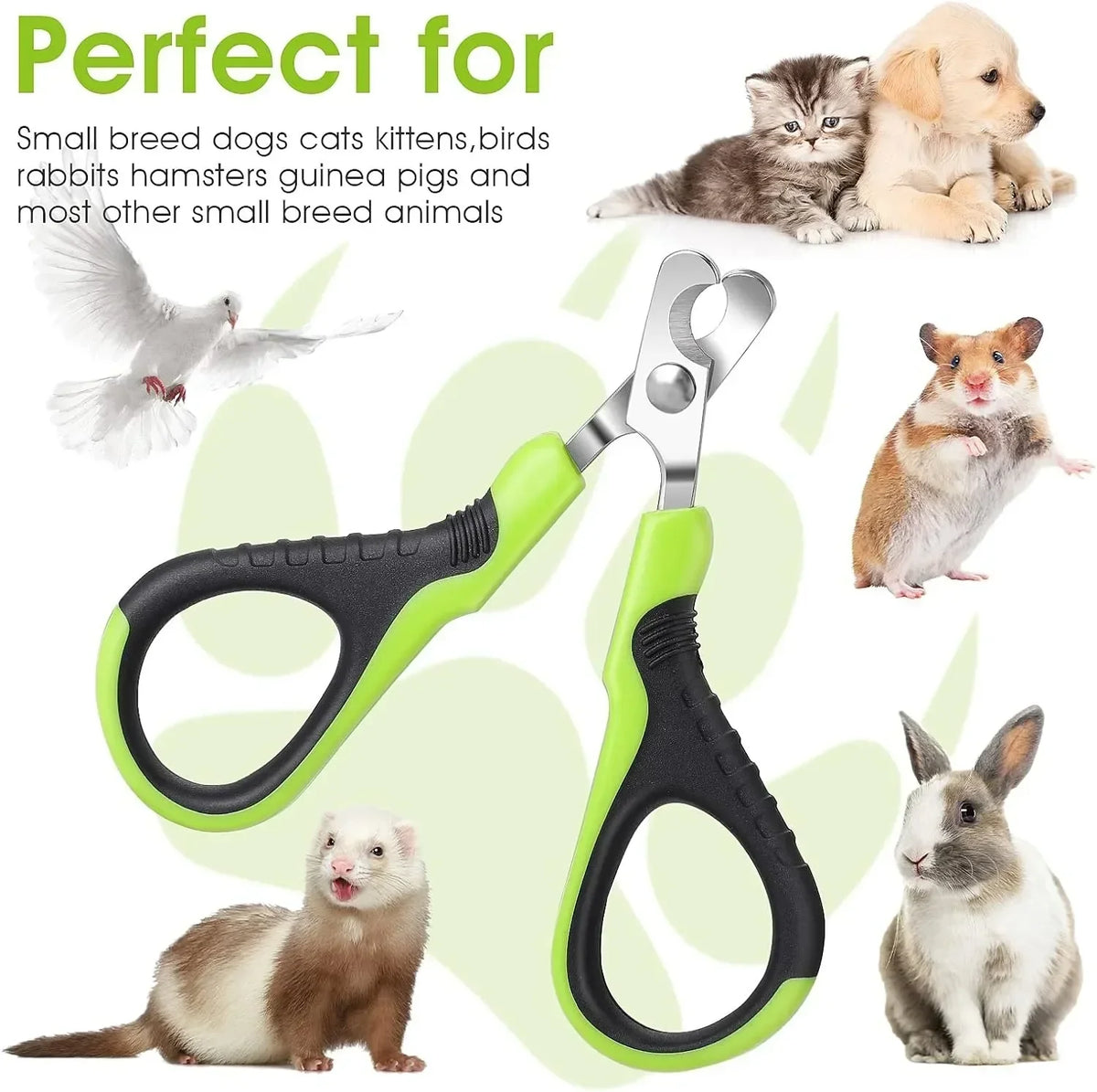 Hot Sale Cat Nail Toe Claw Clippers Trimmer Grooming Tools Animals Pet Supplies Stainless Steel Dog Nail Clipper Scissors Pi-Mart