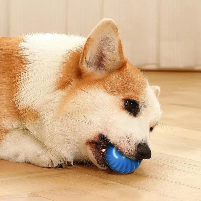 Smart Dog Toy Ball Electronic Interactive Pet Toy Moving Ball USB Automatic Moving Bouncing for Puppy Birthday Gift Cat Products Pi-Mart
