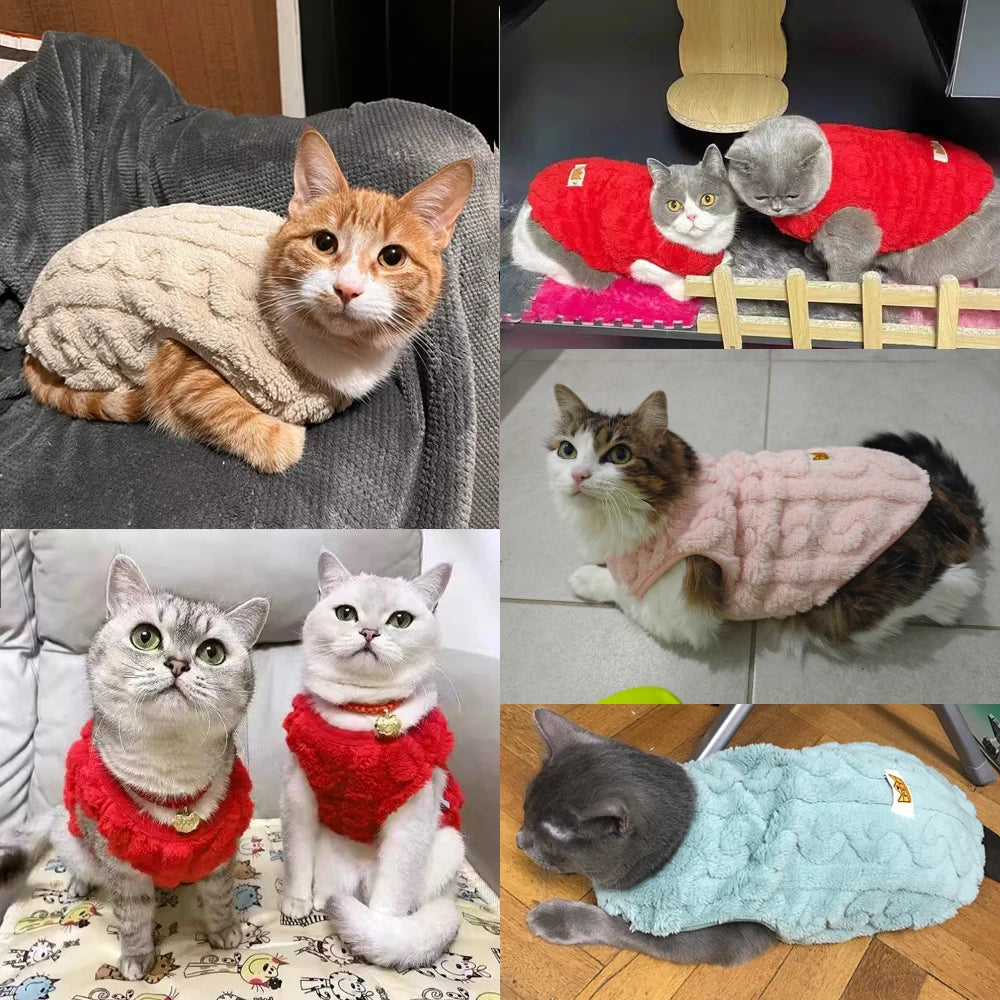 Soft Cozy Cat Clothes Autumn Winter Warm Fleece Sweatshirt for Small Dogs Puppy Kitten Jacket Coat Pet Sphynx Costume Sweater Pi-Mart