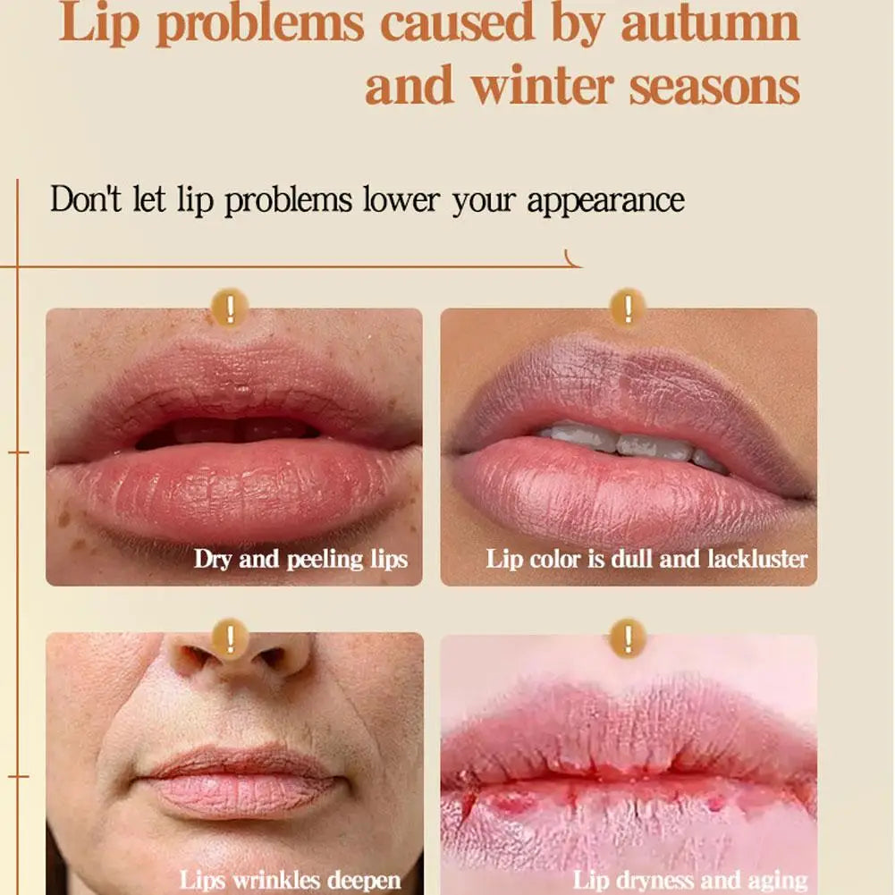 12pcs Moisturizing Lipstick Set, Hydrating Lip Care Suitable For All Skin Types, Fruit Lipstick Lip Balm Set Pi-Mart