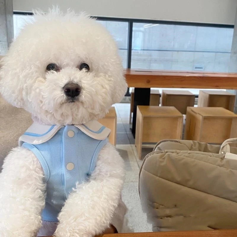 Sbb851a742689402aaa447466c9531aa21