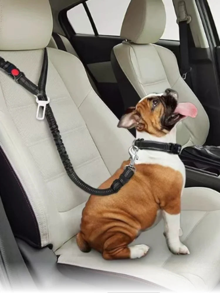 Reflective Pet Dog Car Seat Belt Puppy Collar Walking Travel Car Accessories Cat Leash Harness for Small Dogs Pet Car Supplies Pi-Mart