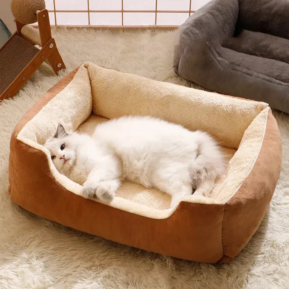 Bed for Cats Pet Products Cushions Kitten Goods Accessories Dog All Houses Supplies Things Accessory Habitats Basket House Beds Pi-Mart
