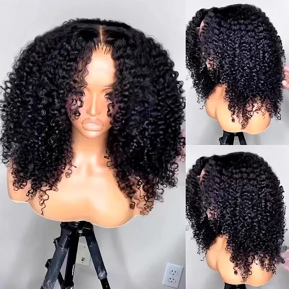 250% Kinky Curly Wigs Human Hair Afro Curly 13x6 HD Lace Frontal Wig Wear Go Glueless 5x5 Lace Front Human Hair Wigs on Sale LadyShow.Store