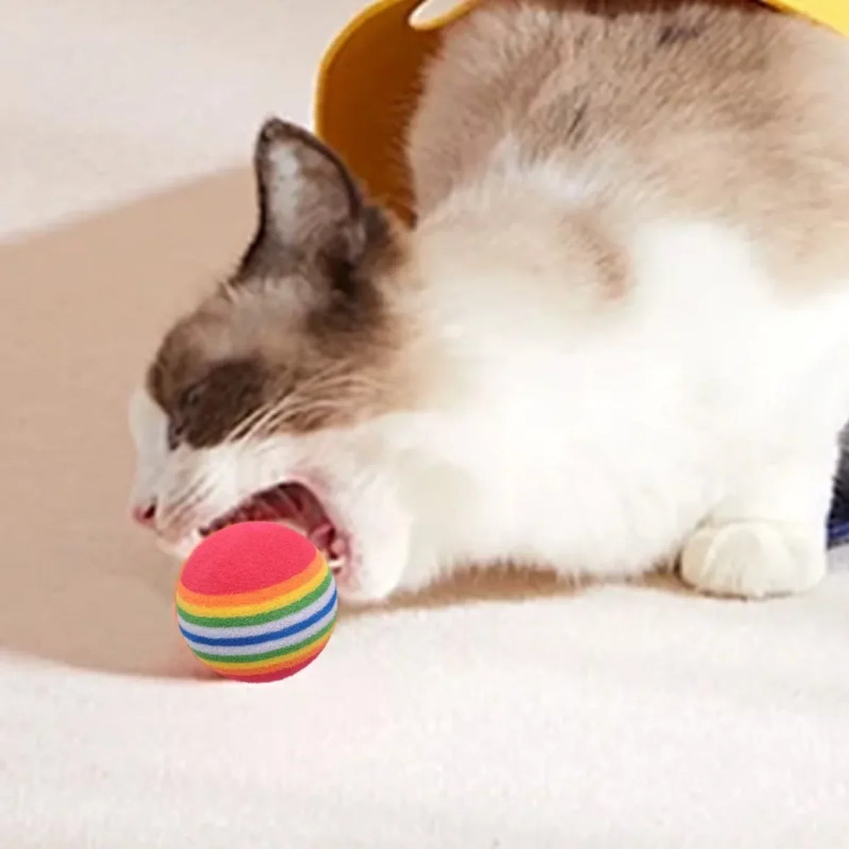 10-100x Colorful Cat Toy Ball EVA Bite-Resistant Elastic Rainbow Ball Kitten Puppy Chewing Training Interactive Toy Pet Supplies Pi-Mart