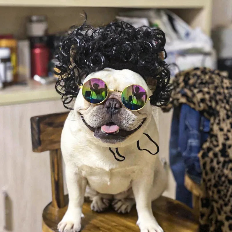Pet Wigs Cosplay Props Dog Cat Cross-Dressing Hair Set Photography Funny Props Head Accessories Prank Pet Supplies Costumes DIY Pi-Mart